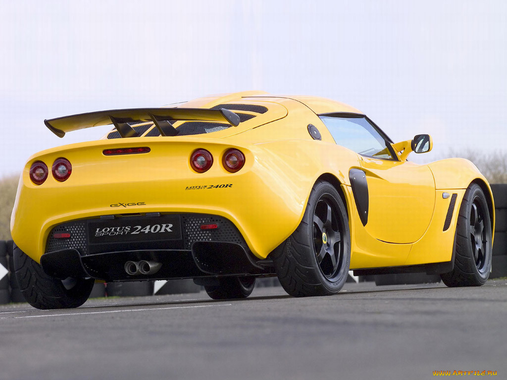 lotus, 